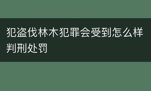 犯盗伐林木犯罪会受到怎么样判刑处罚