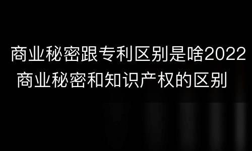 商业秘密跟专利区别是啥2022 商业秘密和知识产权的区别