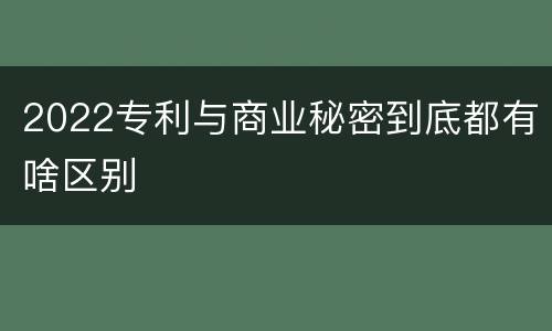 2022专利与商业秘密到底都有啥区别