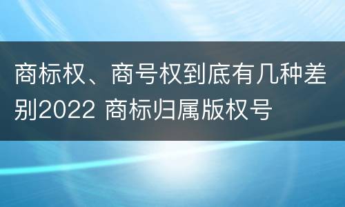 商标权、商号权到底有几种差别2022 商标归属版权号