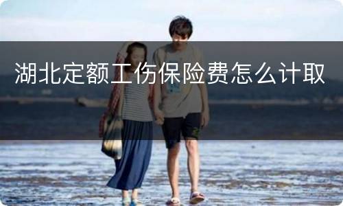 湖北定额工伤保险费怎么计取