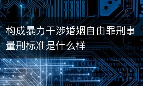 构成暴力干涉婚姻自由罪刑事量刑标准是什么样