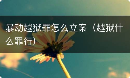暴动越狱罪怎么立案（越狱什么罪行）