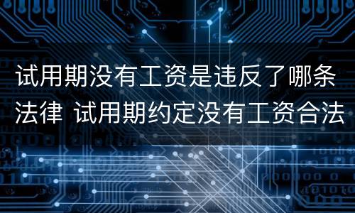 试用期没有工资是违反了哪条法律 试用期约定没有工资合法吗