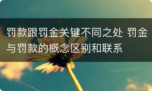 罚款跟罚金关键不同之处 罚金与罚款的概念区别和联系