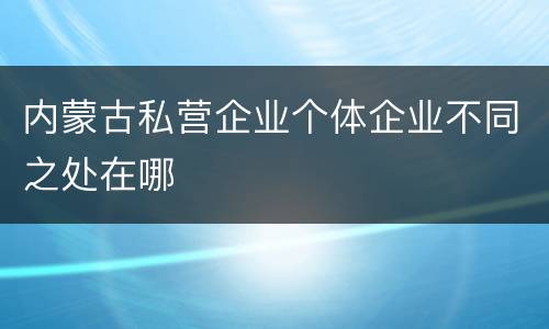 内蒙古私营企业个体企业不同之处在哪