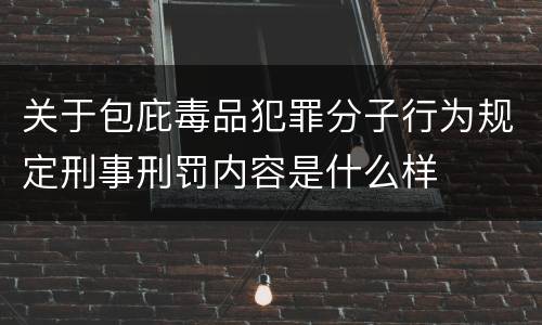 关于包庇毒品犯罪分子行为规定刑事刑罚内容是什么样