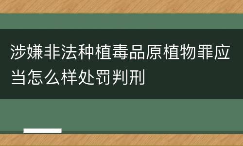涉嫌非法种植毒品原植物罪应当怎么样处罚判刑