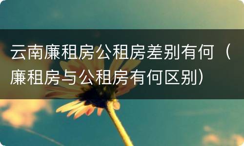 云南廉租房公租房差别有何（廉租房与公租房有何区别）