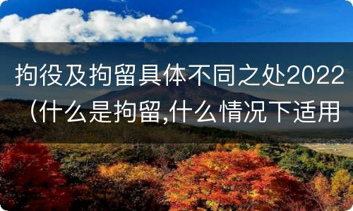 拘役及拘留具体不同之处2022（什么是拘留,什么情况下适用拘留）