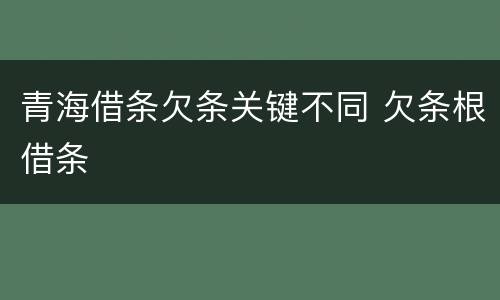 青海借条欠条关键不同 欠条根借条