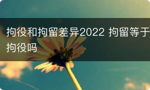 拘役和拘留差异2022 拘留等于拘役吗