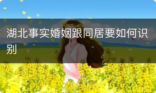 湖北事实婚姻跟同居要如何识别