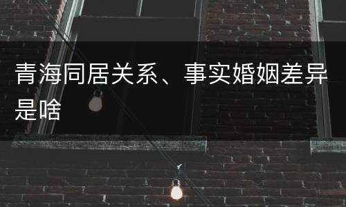 青海同居关系、事实婚姻差异是啥