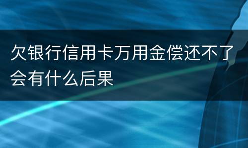 欠银行信用卡万用金偿还不了会有什么后果