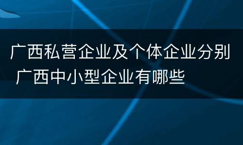 广西私营企业及个体企业分别 广西中小型企业有哪些