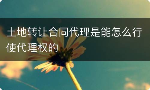 土地转让合同代理是能怎么行使代理权的