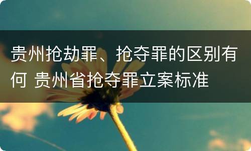 贵州抢劫罪、抢夺罪的区别有何 贵州省抢夺罪立案标准