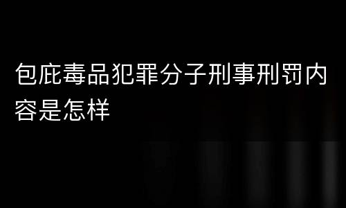 包庇毒品犯罪分子刑事刑罚内容是怎样