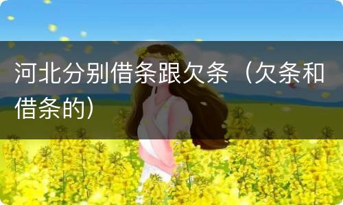 河北分别借条跟欠条（欠条和借条的）