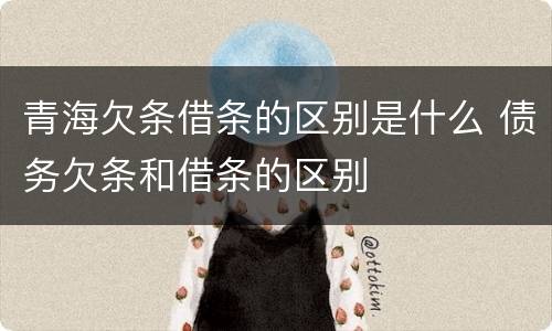 青海欠条借条的区别是什么 债务欠条和借条的区别