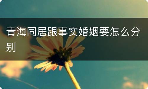 青海同居跟事实婚姻要怎么分别
