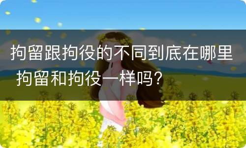 拘留跟拘役的不同到底在哪里 拘留和拘役一样吗?