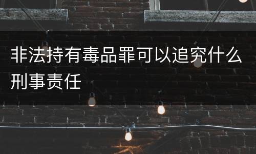 非法持有毒品罪可以追究什么刑事责任