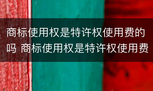 商标使用权是特许权使用费的吗 商标使用权是特许权使用费的吗对吗