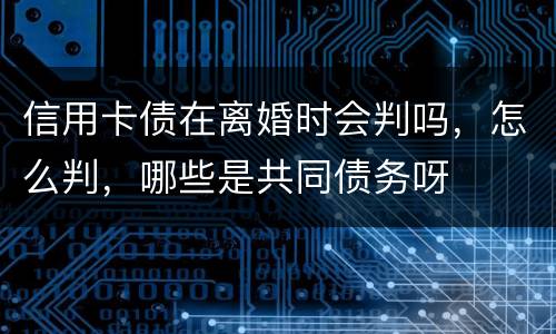 信用卡债在离婚时会判吗，怎么判，哪些是共同债务呀