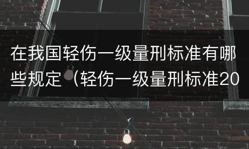 在我国轻伤一级量刑标准有哪些规定（轻伤一级量刑标准2020）
