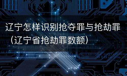 辽宁怎样识别抢夺罪与抢劫罪（辽宁省抢劫罪数额）