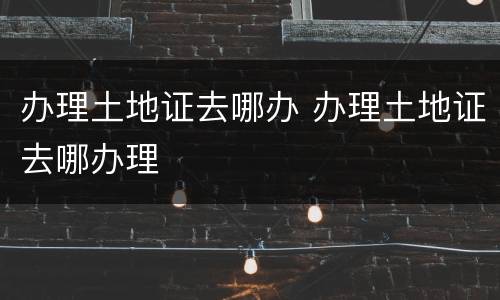办理土地证去哪办 办理土地证去哪办理
