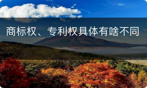 商标权、专利权具体有啥不同