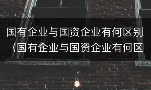 国有企业与国资企业有何区别（国有企业与国资企业有何区别和联系）