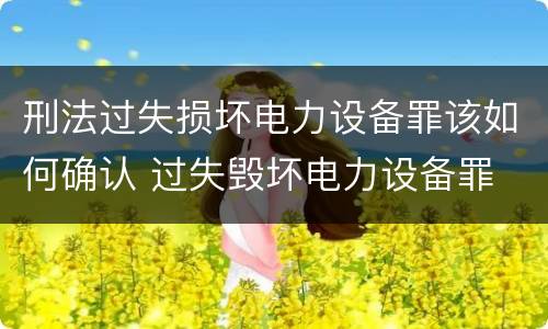 刑法过失损坏电力设备罪该如何确认 过失毁坏电力设备罪