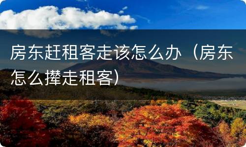 房东赶租客走该怎么办（房东怎么撵走租客）