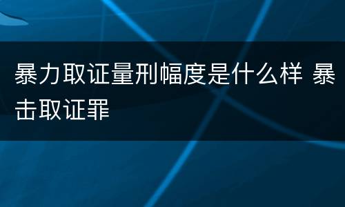 暴力取证量刑幅度是什么样 暴击取证罪