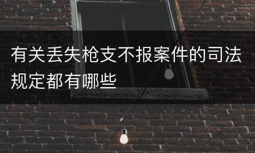 有关丢失枪支不报案件的司法规定都有哪些