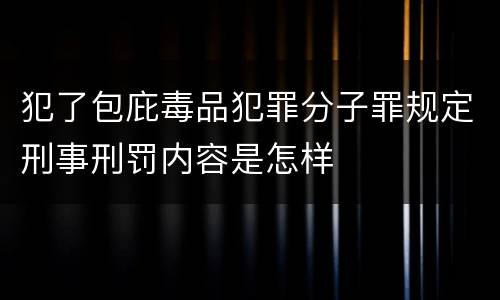犯了包庇毒品犯罪分子罪规定刑事刑罚内容是怎样