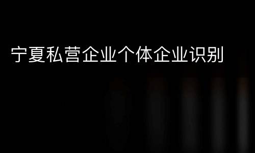 宁夏私营企业个体企业识别