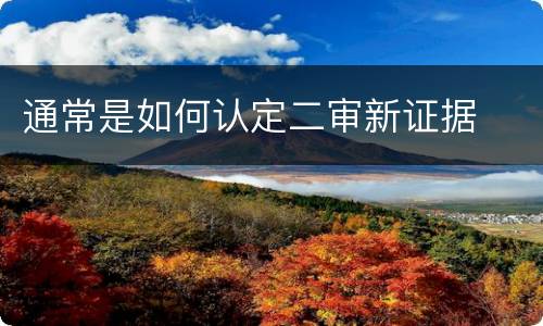通常是如何认定二审新证据