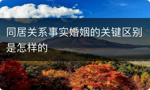 同居关系事实婚姻的关键区别是怎样的