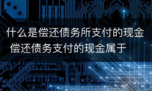 什么是偿还债务所支付的现金 偿还债务支付的现金属于
