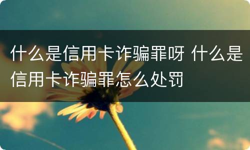 什么是信用卡诈骗罪呀 什么是信用卡诈骗罪怎么处罚