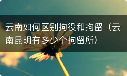 云南如何区别拘役和拘留（云南昆明有多少个拘留所）