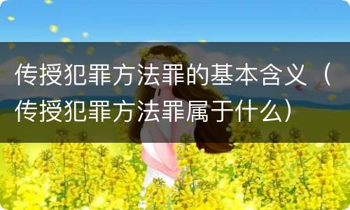 传授犯罪方法罪的基本含义（传授犯罪方法罪属于什么）