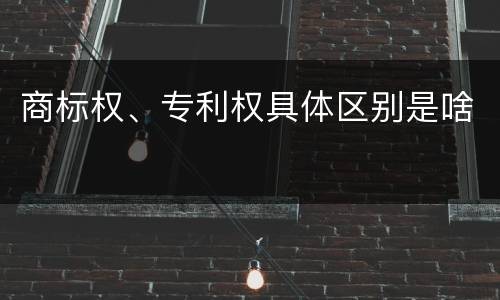 商标权、专利权具体区别是啥