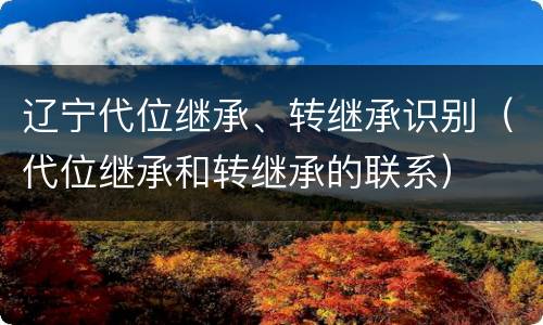 辽宁代位继承、转继承识别（代位继承和转继承的联系）
