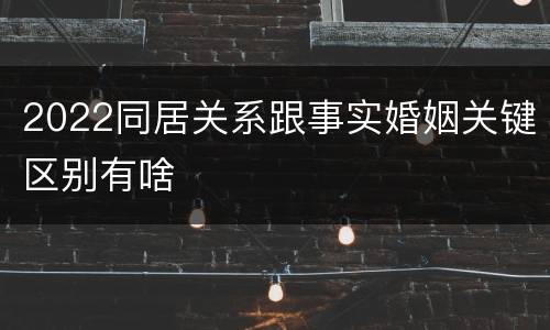 2022同居关系跟事实婚姻关键区别有啥